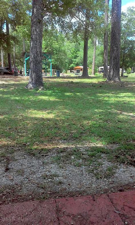 nude beach louisiana|Curious La.: Slidell nudist parks been at it for 53 years ...